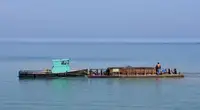 वर्क बोटी विक्रीसाठी