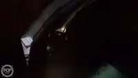 ट्रॉलर विक्रीसाठी