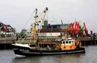 Trawler विक्रीसाठी