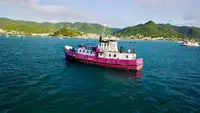 General Cargo/Multi-purpose विक्रीसाठी