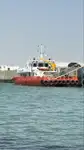 Catamaran विक्रीसाठी