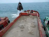 बार्ज विक्रीसाठी