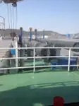 ड्रेजर विक्रीसाठी