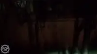 ट्रॉलर विक्रीसाठी