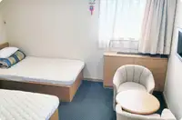 रेफ्रिजर जहाज विक्रीसाठी