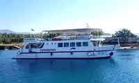 Catamaran विक्रीसाठी