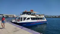 Catamaran विक्रीसाठी