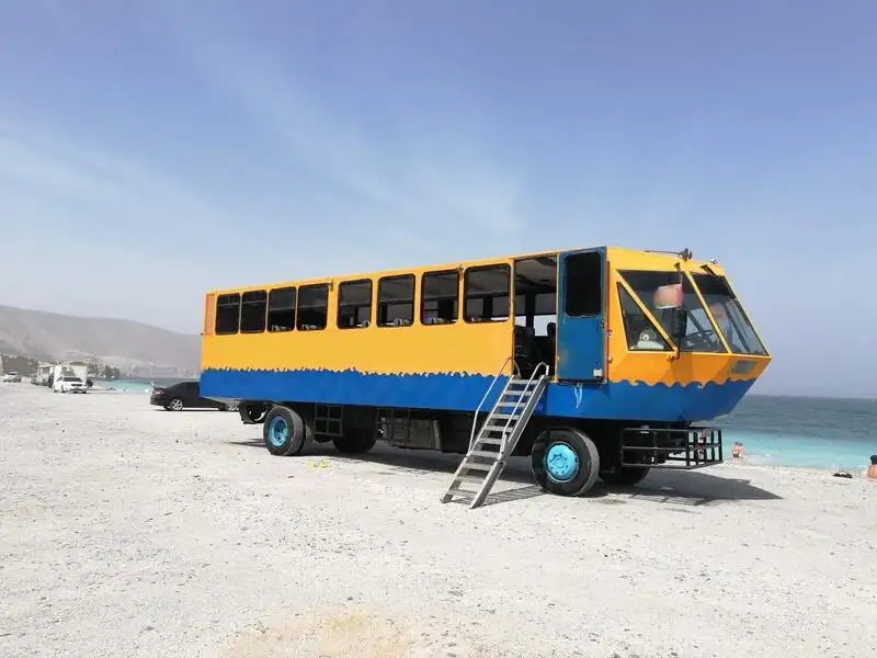 उभयचर विक्रीसाठी