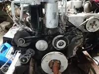 लाँगलाइनर विक्रीसाठी