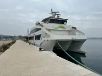 Catamaran विक्रीसाठी