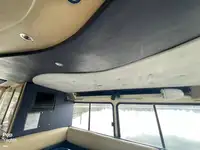 क्रूझ जहाज विक्रीसाठी