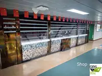 रो-रो जहाज विक्रीसाठी