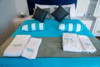 डायव्ह सपोर्ट विक्रीसाठी
