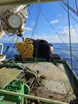 Purse seiner विक्रीसाठी