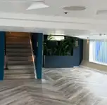 क्रूझ फेरी विक्रीसाठी