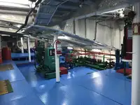 Ro-Ro ship विक्रीसाठी