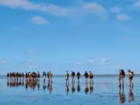 बार्ज विक्रीसाठी