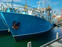Trawler विक्रीसाठी