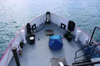 General Cargo/Multi-purpose विक्रीसाठी