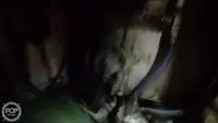 ट्रॉलर विक्रीसाठी