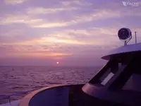 डायव्ह सपोर्ट विक्रीसाठी