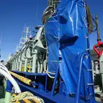 Purse seiner विक्रीसाठी