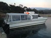 Catamaran विक्रीसाठी