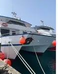 Catamaran विक्रीसाठी