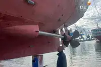 फेरी जहाज विक्रीसाठी