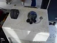 ट्रॉलर विक्रीसाठी