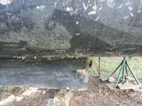 फेरी जहाज विक्रीसाठी