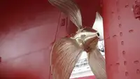 लाँगलाइनर विक्रीसाठी