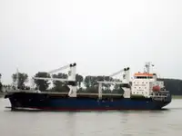 मोठ्या प्रमाणात वाहक विक्रीसाठी