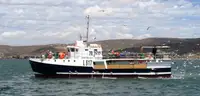 Purse seiner विक्रीसाठी