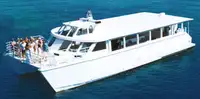 Catamaran विक्रीसाठी