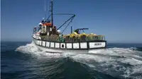 Trawler विक्रीसाठी