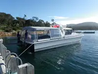 Catamaran विक्रीसाठी