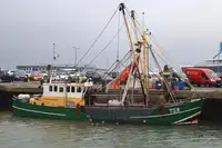 Trawler विक्रीसाठी