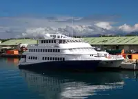 Catamaran विक्रीसाठी