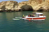 डायव्ह सपोर्ट विक्रीसाठी