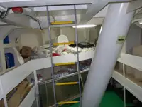 बल्क वाहक विक्रीसाठी