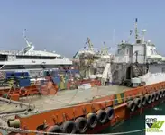 विंड फार्म सर्व्हिस व्हेसल विक्रीसाठी