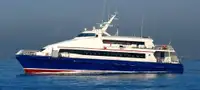 Catamaran विक्रीसाठी