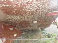 टोबोट विक्रीसाठी
