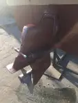 पायलट बोट विक्रीसाठी