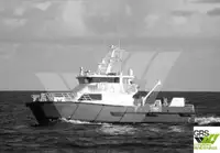 Catamaran विक्रीसाठी
