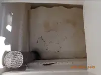 पర్స్ सीनर विक्रीसाठी