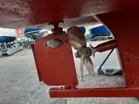 कटर विक्रीसाठी