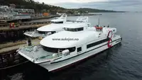 Catamaran विक्रीसाठी