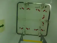 बल्क वाहक विक्रीसाठी